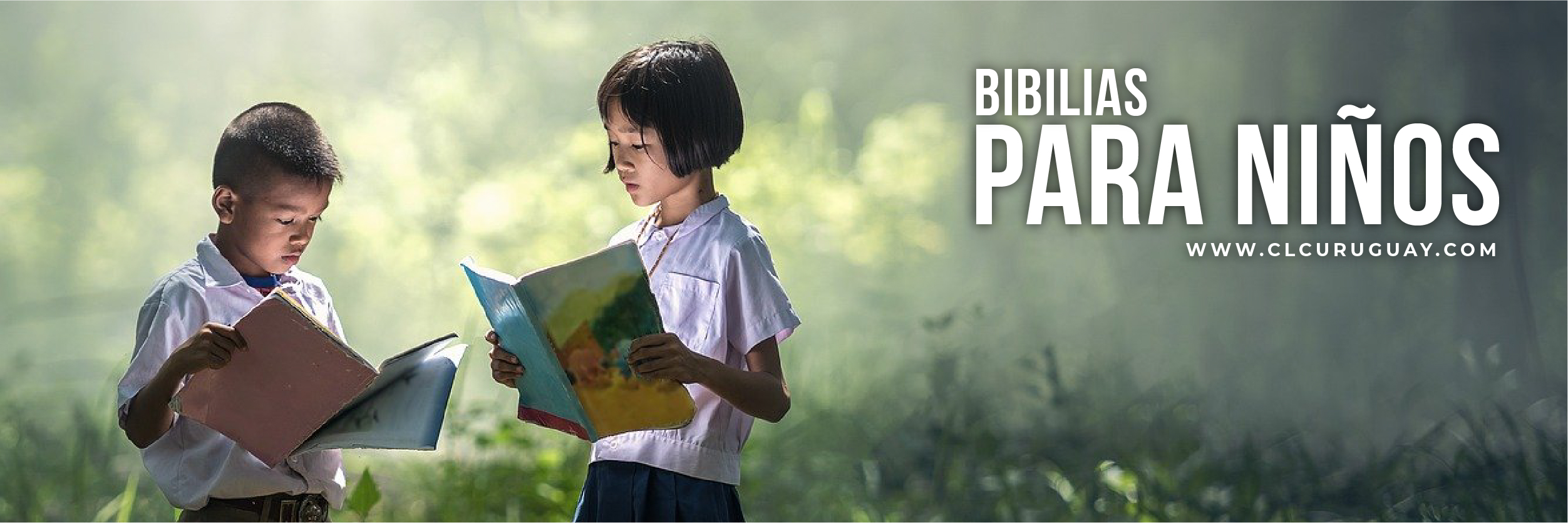 Biblias para niños