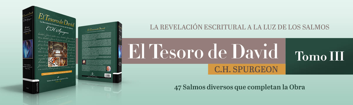 Tesoro-de-David-3