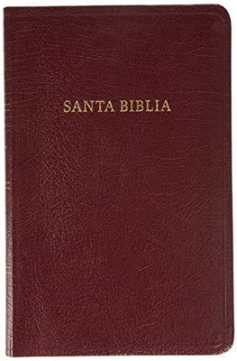 Biblia Edición Especial Con Referencia Imitación Rojizo (Tapa Suave)