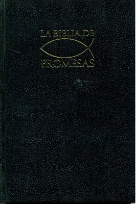 Biblia Edición Promesas RVR60
