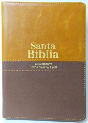 Biblia Reina Valera 1960 Letra Gigante con cierre Café-Café Claro