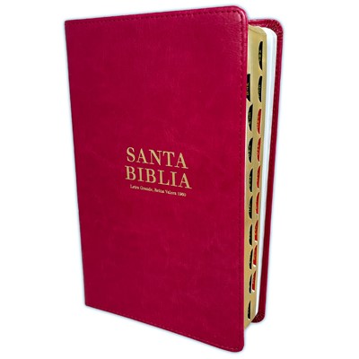 Biblia Reina Valera 1960 Letra Grande con Índice Rosa (Tapa Suave)