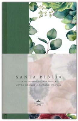 Biblia Reina Valera 1960 Imágenes Tierra Santa - Verde