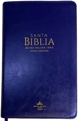 Biblia Letra Grande Reina Valera Clásica Lila