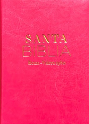 Biblia Reina Valera 1960 clásica fucsia