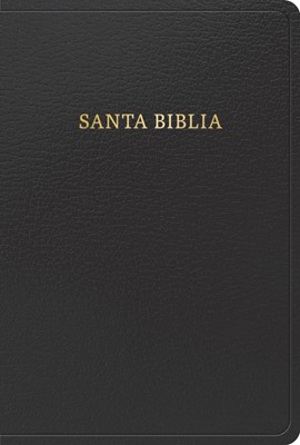 Biblia Letra Grande Imitación Piel Negro