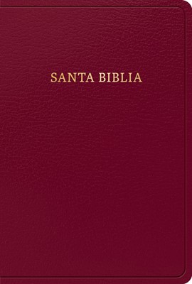 Biblia Letra Grande Reina Valera Borgoña SimilPiel