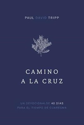 Camino a la Cruz