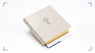 Biblia NTV QR Principios de Vida Arena