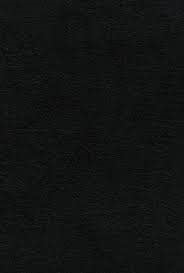 Biblia de Estudio NVI - Teología Bíblica Simil Piel Negro
