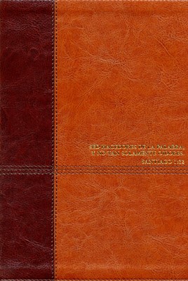 Biblia Diario Vivir RVR Letra Grande Café Claro