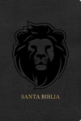 Biblia Reina Valera 1960 Letra Grande Edición Especial Gris