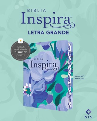 Biblia Inspira Letra Grande Azul