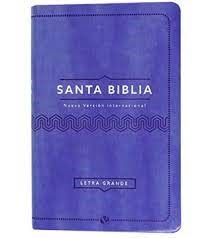 Biblia NVI Letra Grande Lila