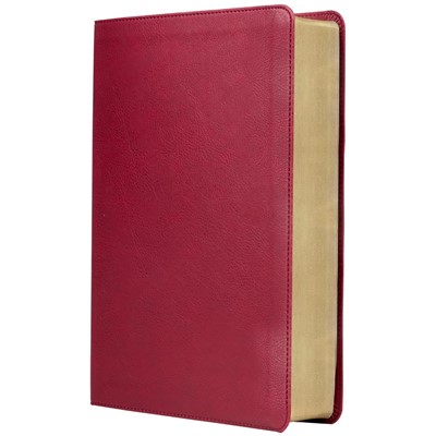Biblia de Estudio Trasfondo Cultural símil piel bordo