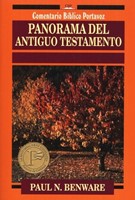 Panorama Del Antiguo Testamento (Tapa Rústica) [Libro]