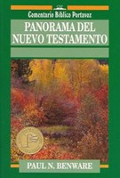 Panorama Del Nuevo Testamento (Tapa Rústica) [Libro]