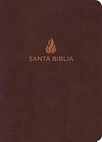 Biblia NVI Manual Letra Grande Marron (Tapa Suave) [Biblia]