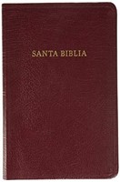 Biblia Edición Especial Con Referencia Imitación Rojizo (Tapa Suave)