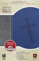 Biblia de Promesas NTV Gris y Azul (Tapa Suave)