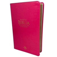 Biblia Reina Valera 1960 Letra Grande Imitación Piel Fucsia (Tapa Suave)