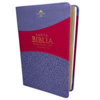 Biblia Letra Grande Reina Valera Lila/Morado (Tapa Suave)