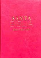 Biblia Reina Valera 1960 clásica fucsia (Tapa Dura)