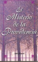 El Misterio de la Providencia (Tapa Rústica)