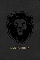 Biblia Reina Valera 1960 Letra Grande Edición Especial Gris (Tapa Suave)