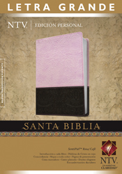 Biblia NTV Letra Grande Rosa/Café