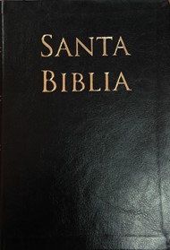 Biblia Letra Grande CLC Símil Piel Negro