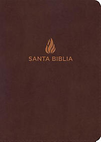 Biblia NVI Letra Gigante Marrón