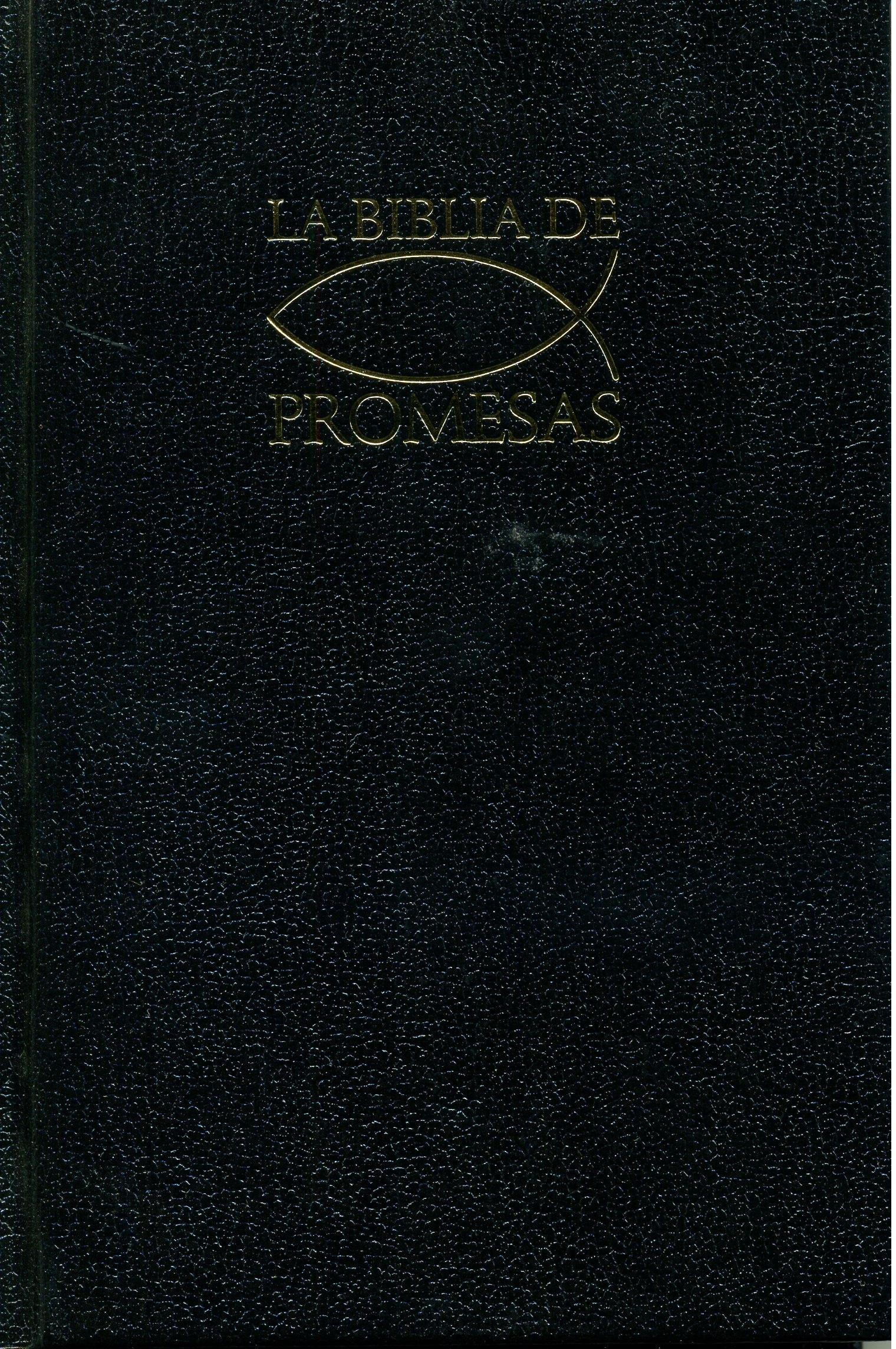 Biblia Edición Promesas RVR60