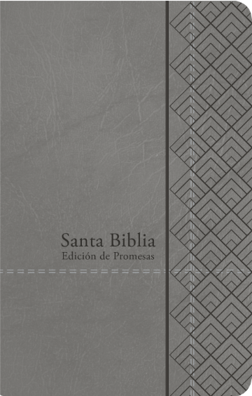 Biblia de Promesas Tamaño Manual Gris