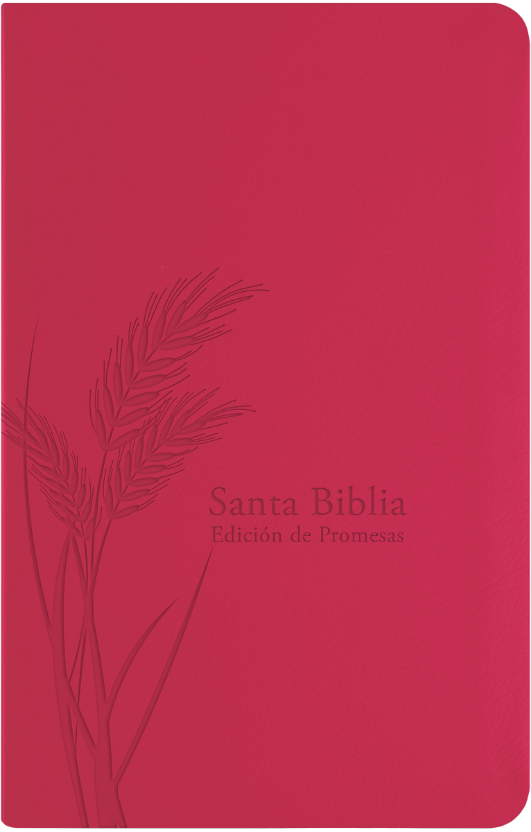 Biblia de Promesas Tamaño Manual Fucsia