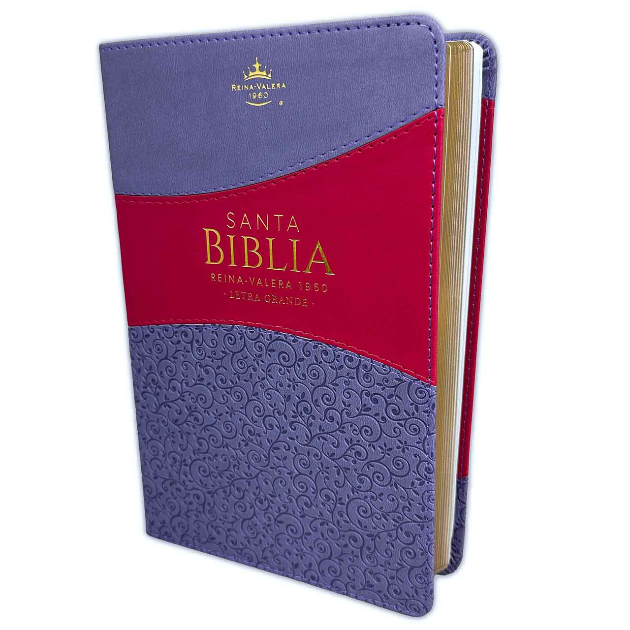 Biblia Letra Grande Reina Valera Lila/Morado