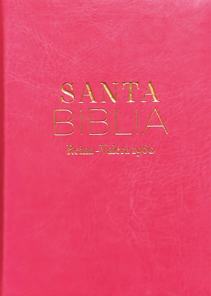 Biblia Reina Valera 1960 clásica fucsia