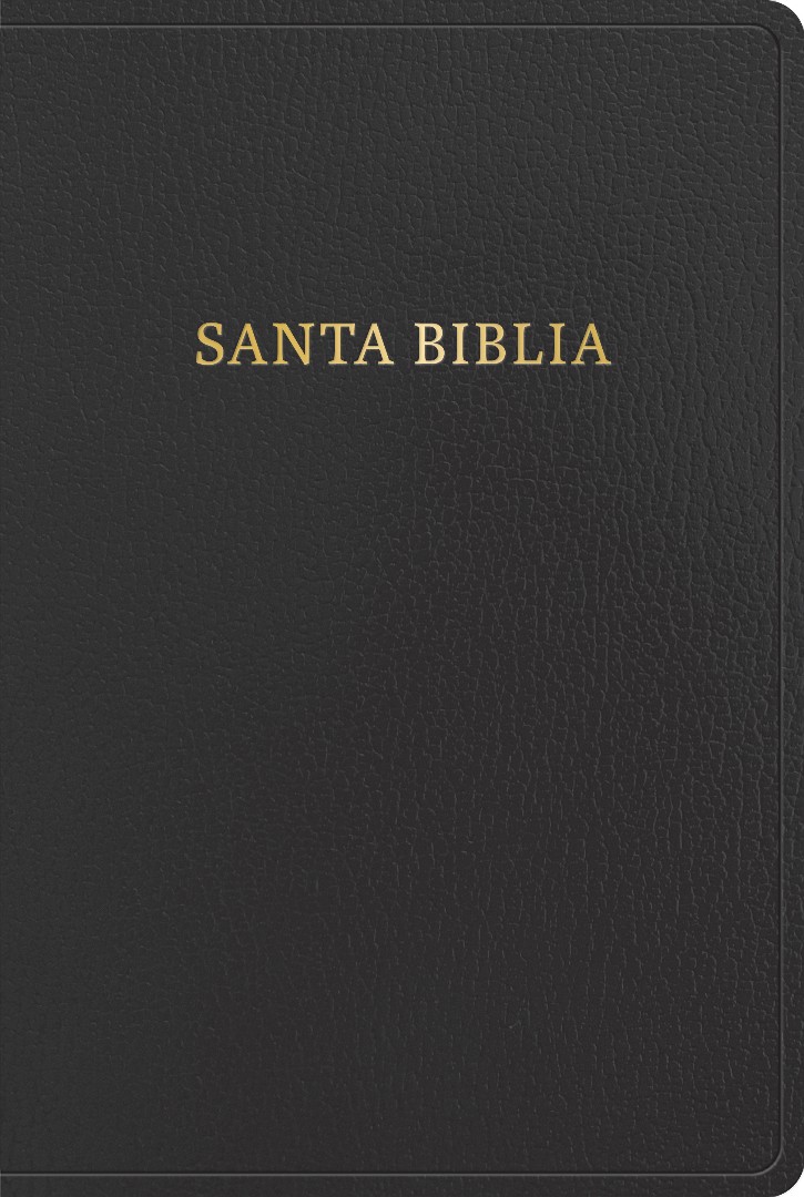 Biblia Letra Gigante Imitación Piel Negro