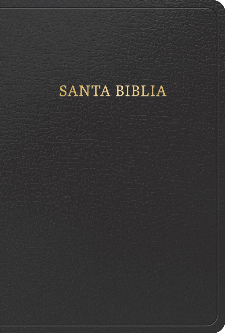 Biblia Letra Grande Imitación Piel Negro