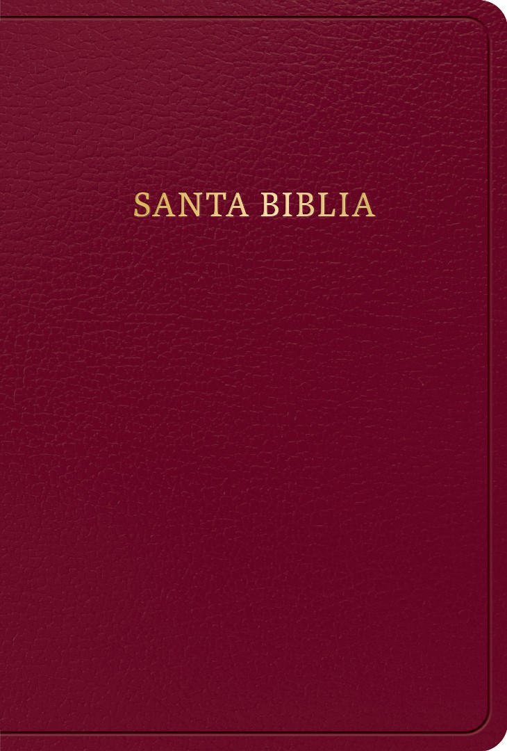 Biblia Letra Grande Reina Valera Borgoña SimilPiel