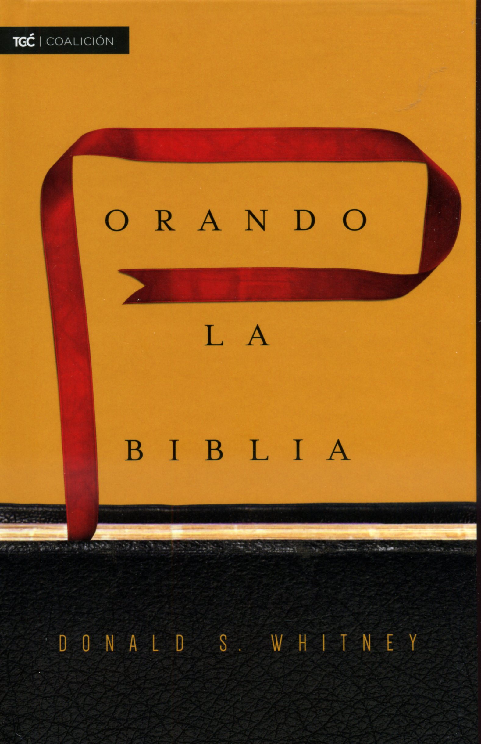 Orando la Biblia