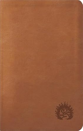 Biblia de la Reforma Condensada Simil Piel Café Claro