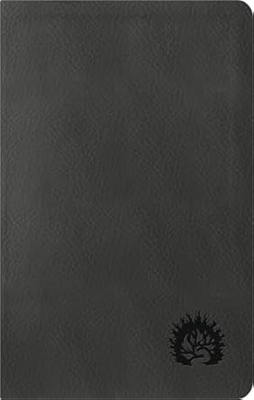 Biblia de la Reforma Condensada Simil Piel Carbon
