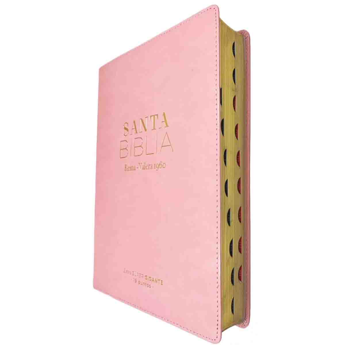 Biblia Letra Supergigante Reina Valera 1960 Rosa con Índice