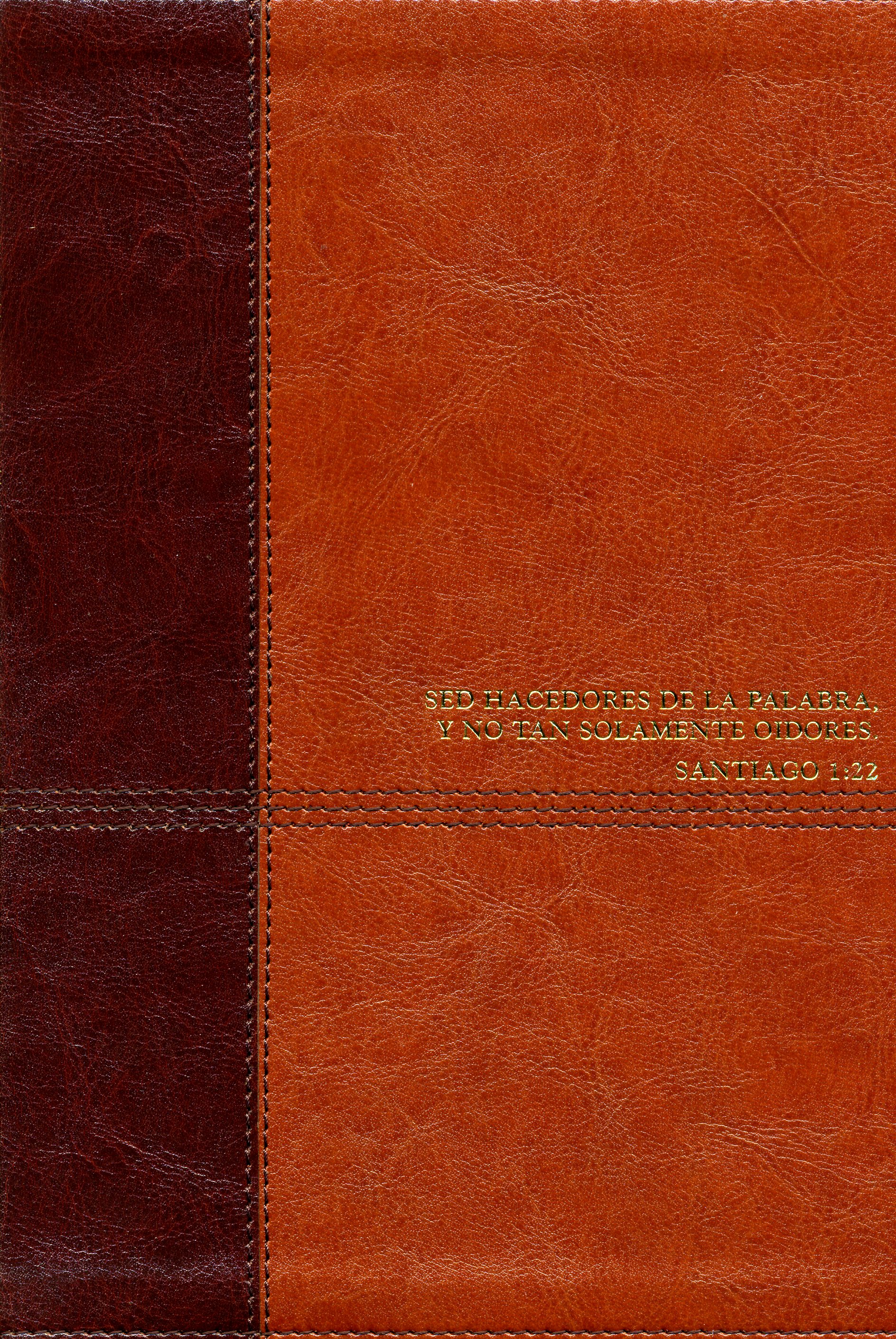 Biblia Diario Vivir RVR Letra Grande Café Claro