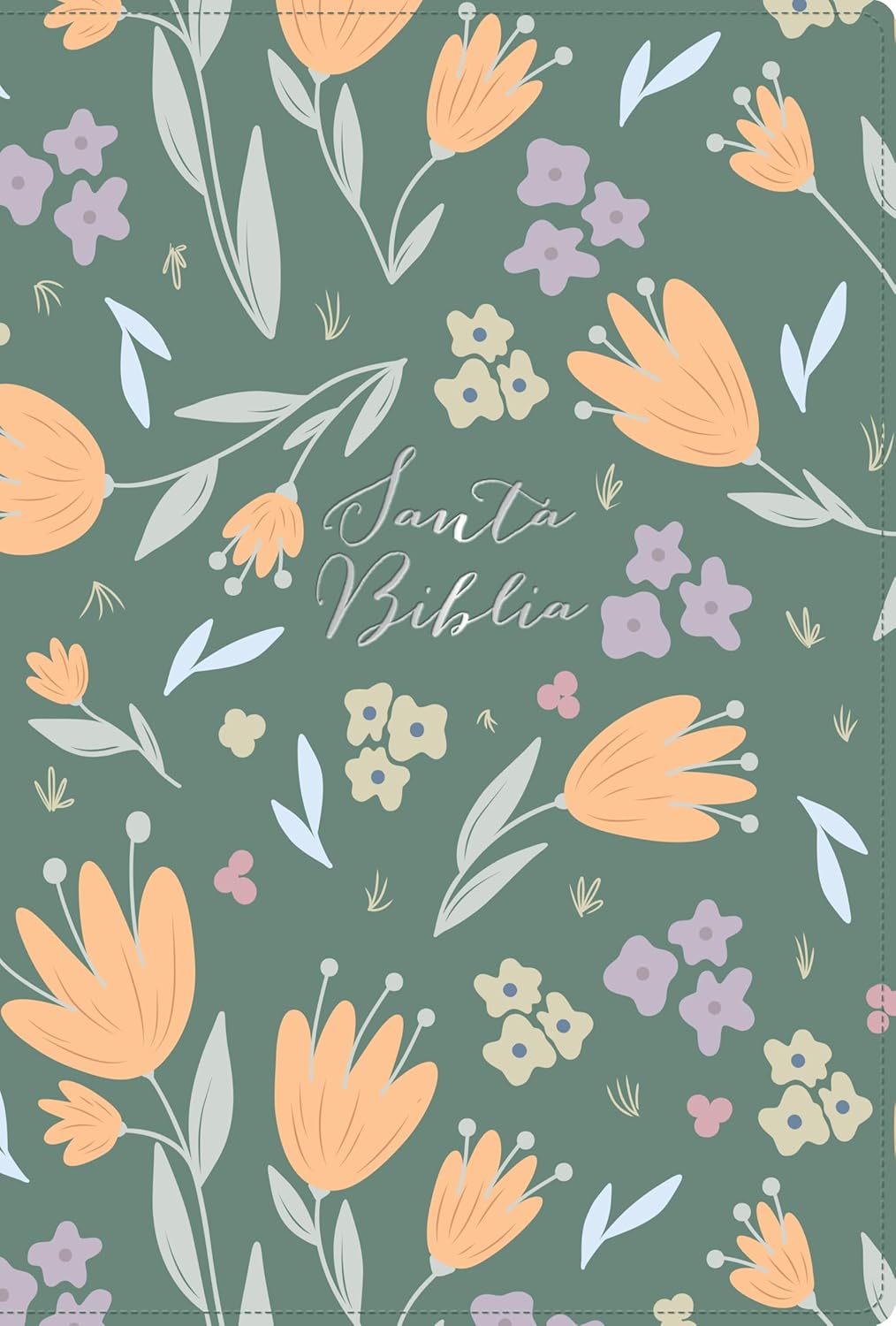 Biblia Reina Valera 1960 Letra Grande Edición Especial Verde