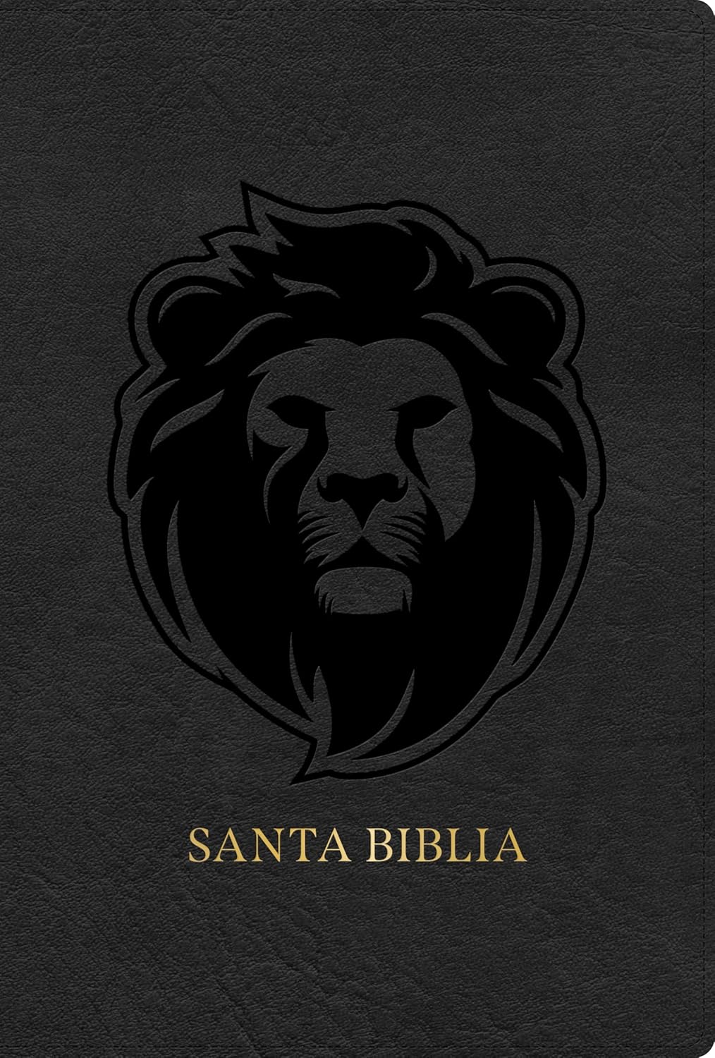 Biblia Reina Valera 1960 Letra Grande Edición Especial Gris