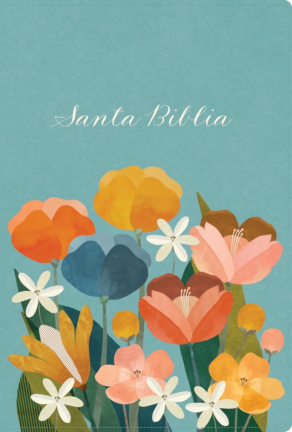 Biblia Reina Valera 1960 Letra Grande Edición Especial Aqua